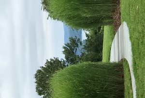 Highview